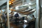 PICTURES/London - HMS Belfast/t_Crew Area1.JPG